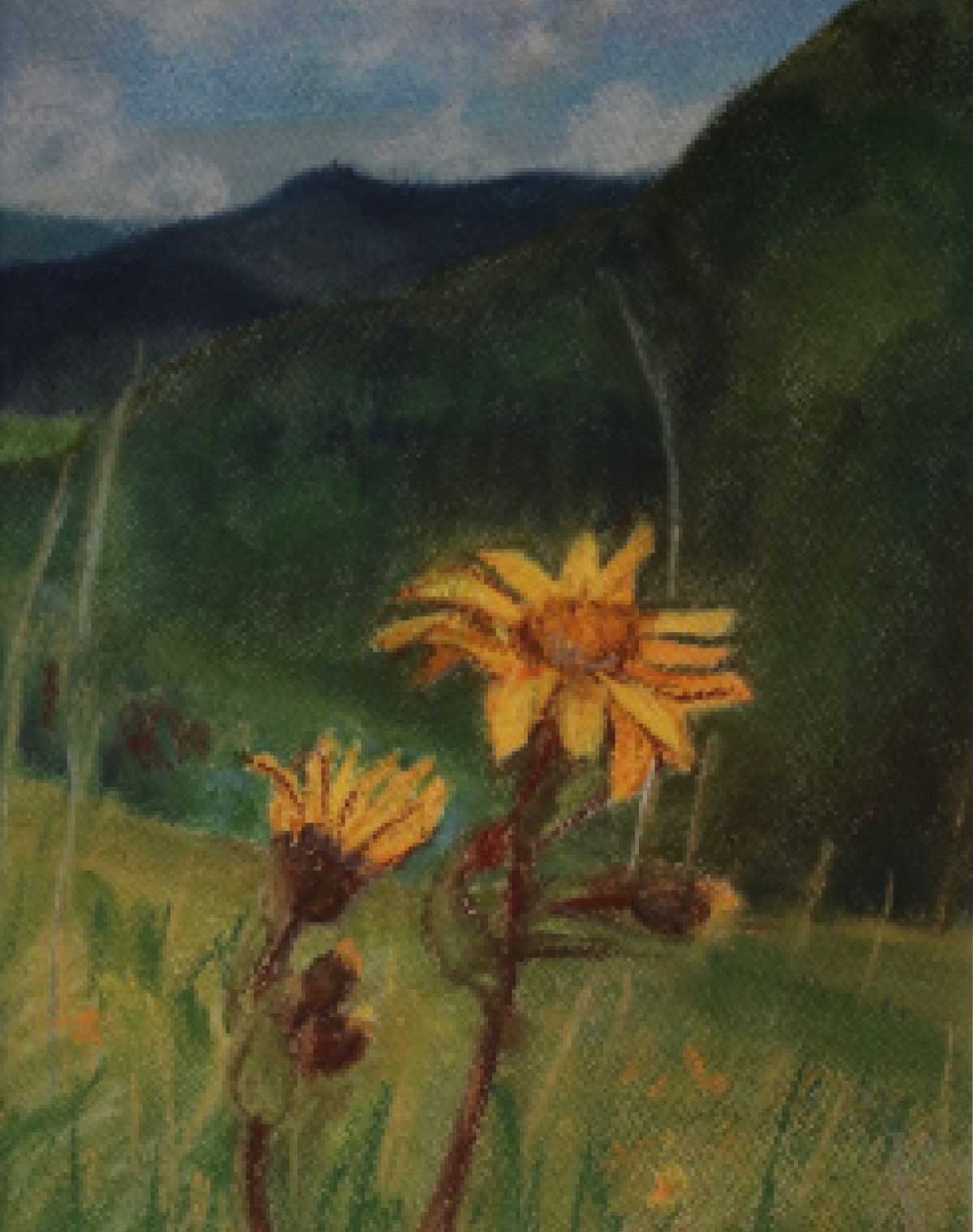 Mountain flower