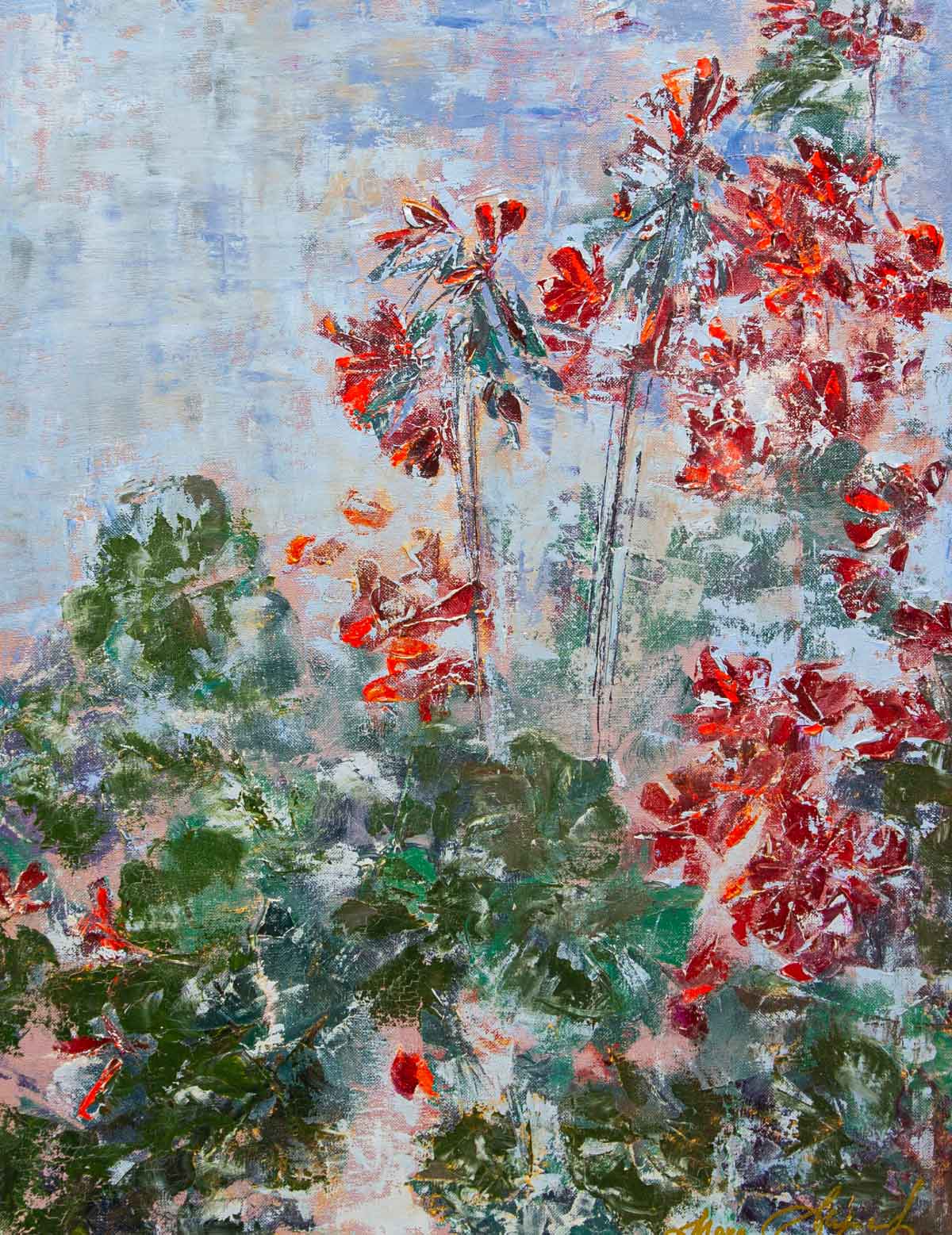 Geraniums
