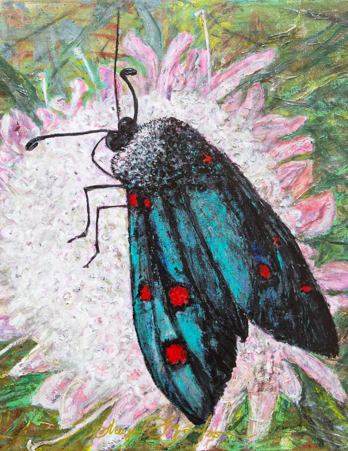 Insect