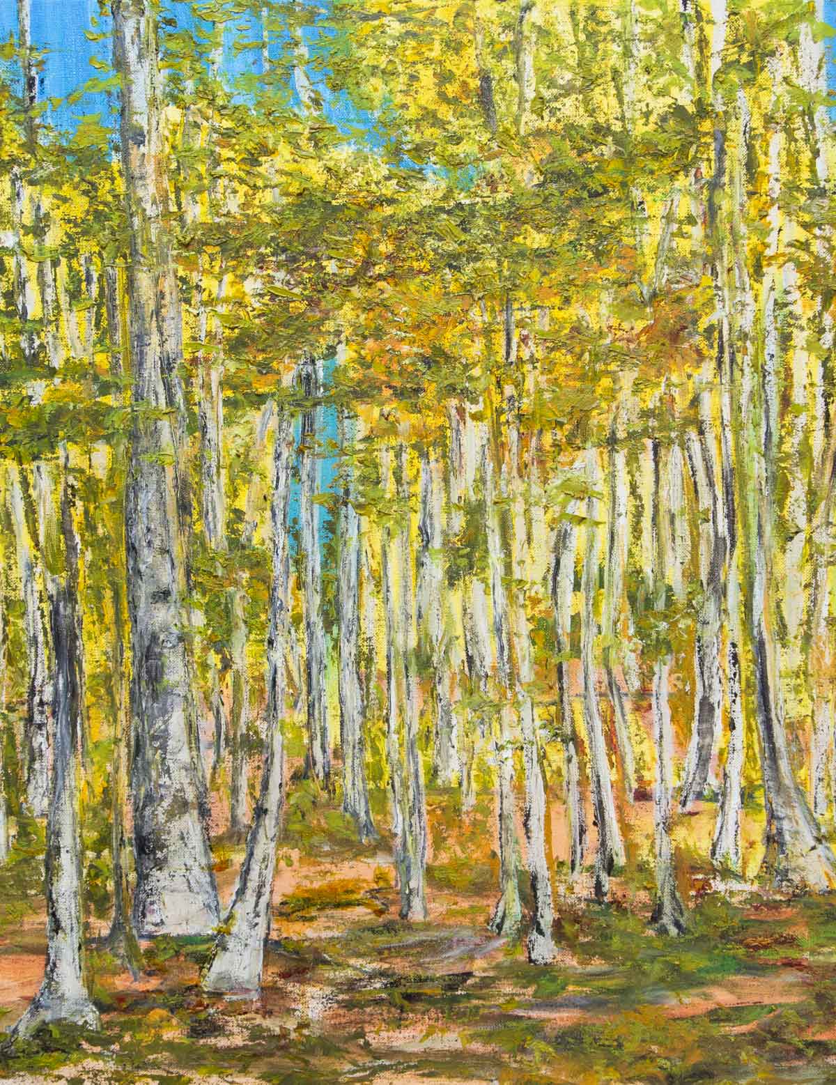 Summer forest