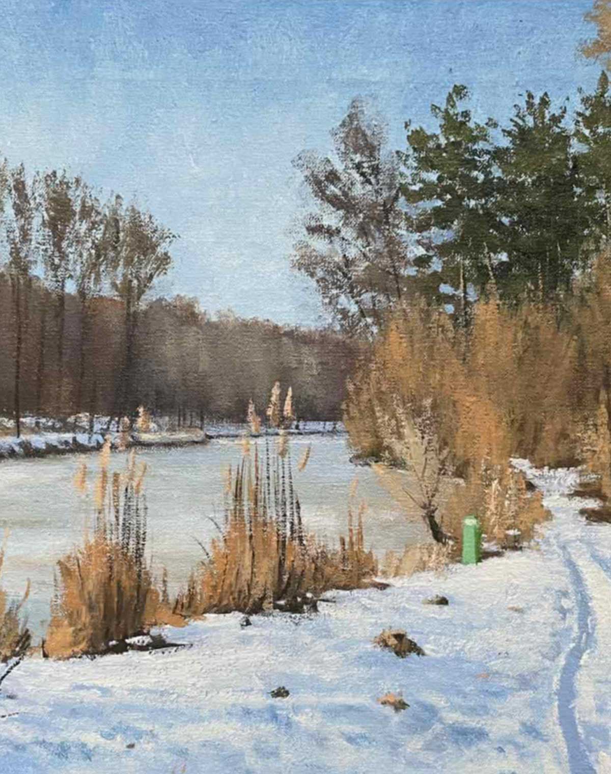 Snowy Shores
