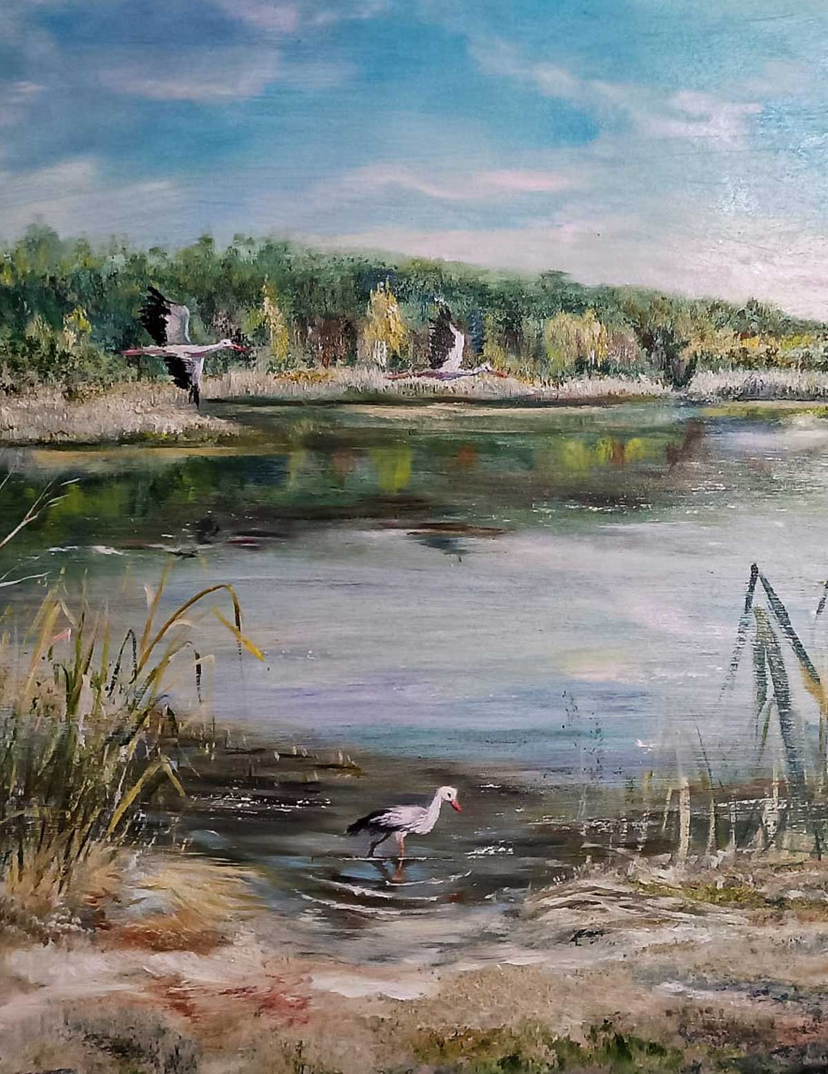 A lake of memories and nostalgia. Nechaivske Guznove