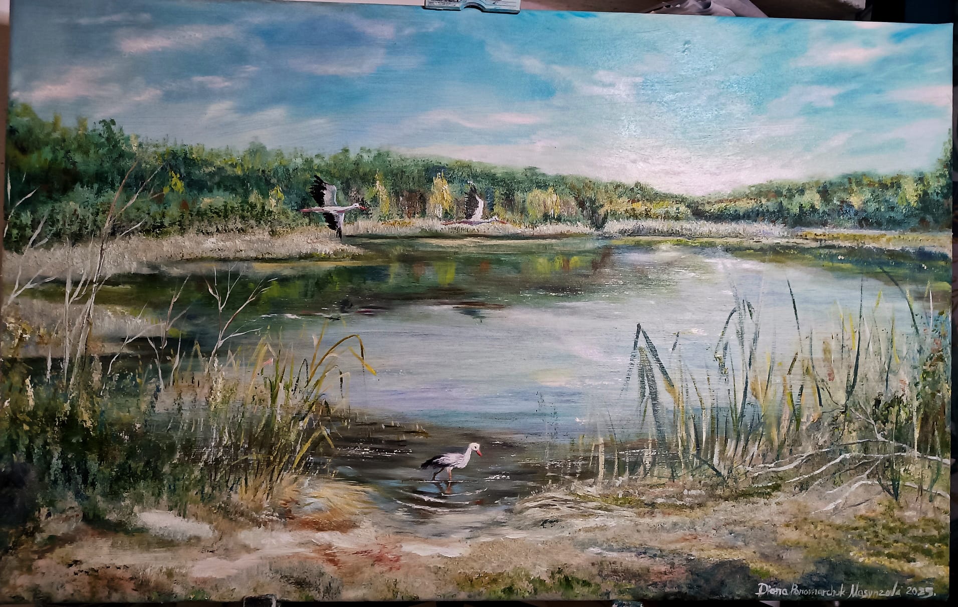A lake of memories and nostalgia. Nechaivske Guznove - Image 3