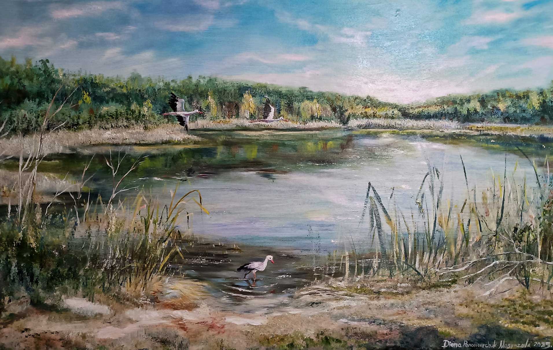 A lake of memories and nostalgia. Nechaivske Guznove - Image 2