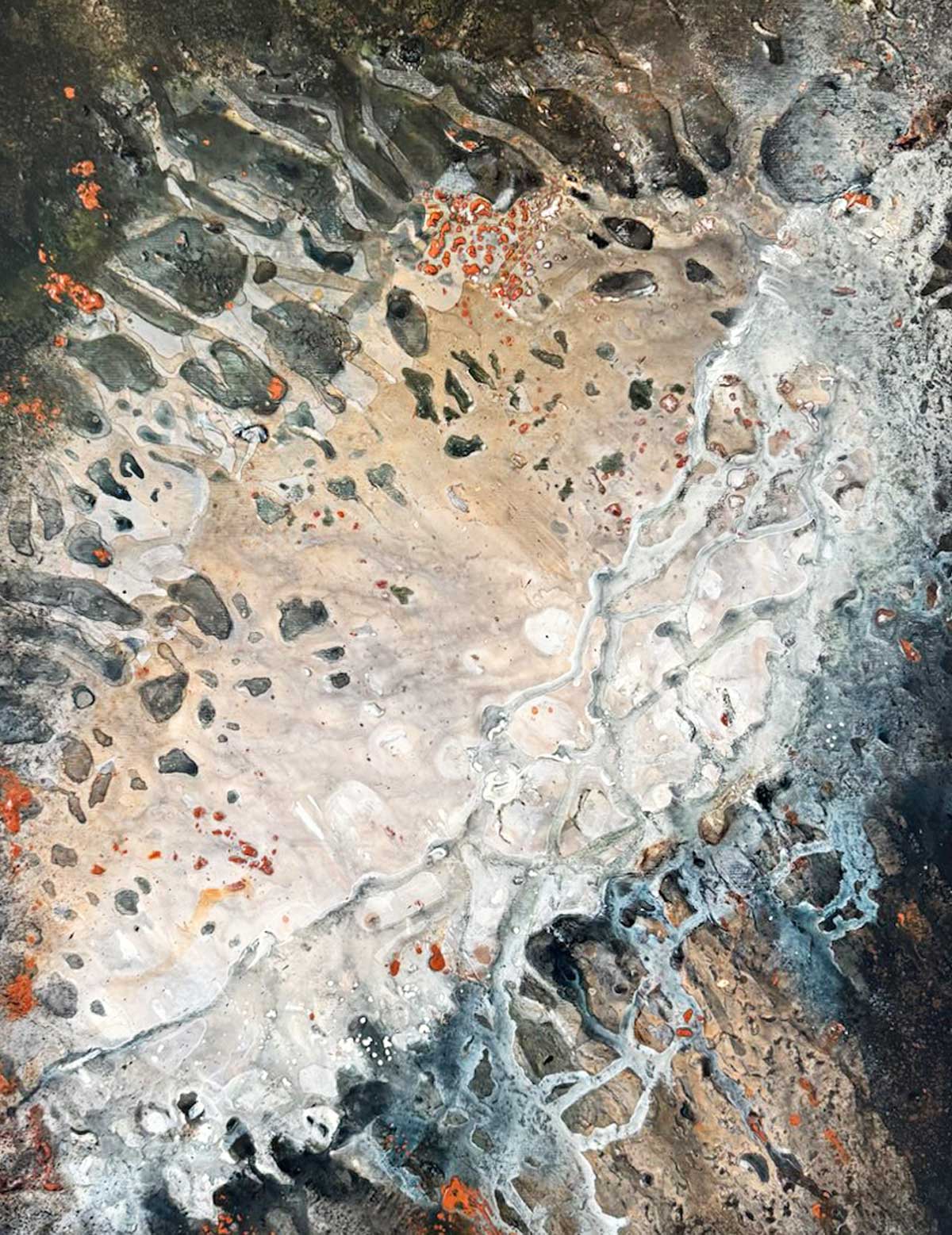 CORAL 6