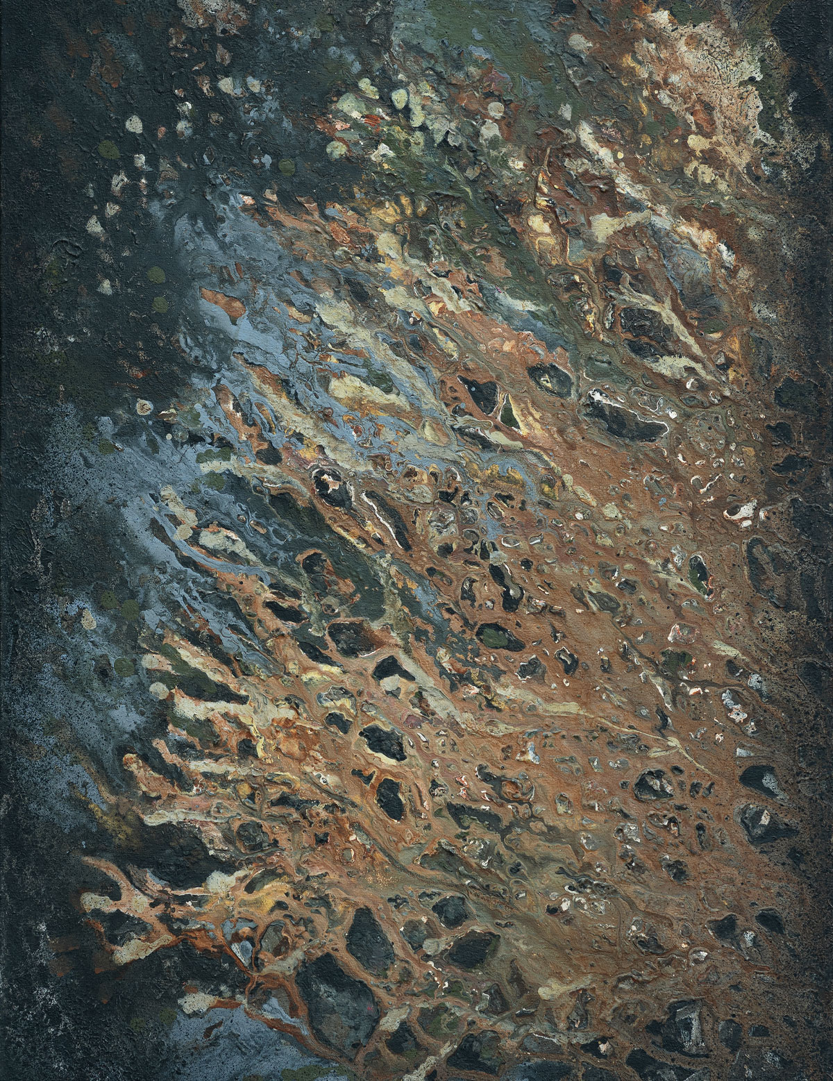 CORAL 3