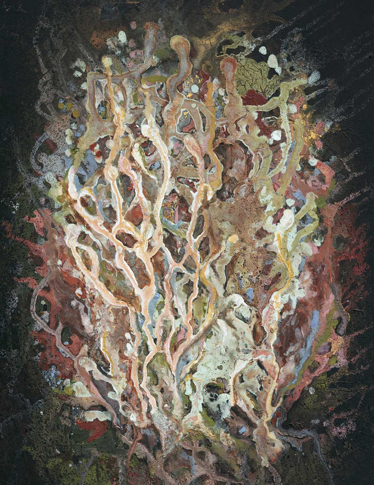 CORAL 4