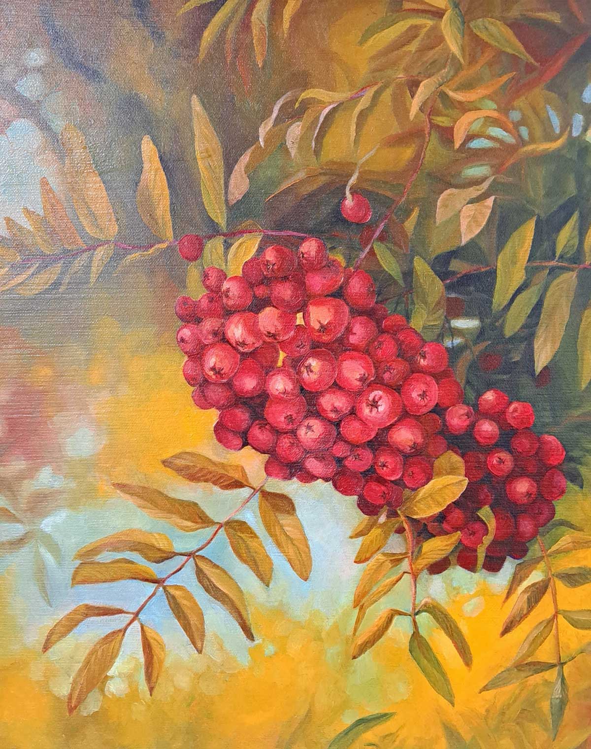Rowan